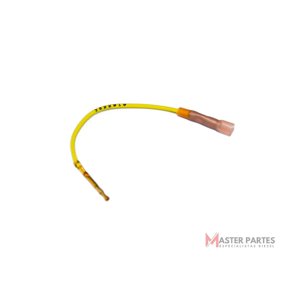 Conector Hembra 3822919